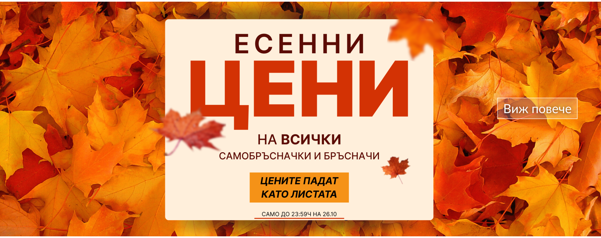 Autumn sale Oct-2025