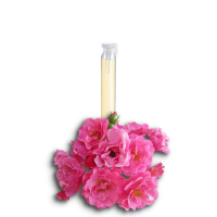 Розово масло от Роза Дамасцена 100% (Rosa Damascena), 5ml (4gr)