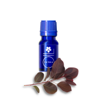 Етерично масло от смрадлика (тетра) 100% (Cotinus coggygria) 10ml