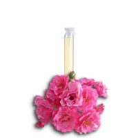 Rose essential oil 100% (Rosa Damascena), 5ml (4gr)